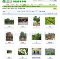 專業企業網頁設計與維護服務 構建數字化形象，驅動業務增長